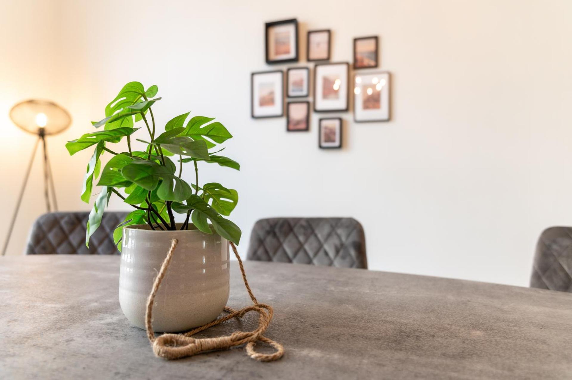Beautiful Renovated Apartment In An Authentic Building ออสเทนด์ ภายนอก รูปภาพ